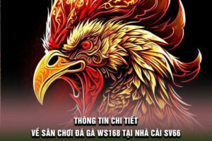 Thông tin chi tiết về sân chơi đá gà WS168 tại nhà cái SV66