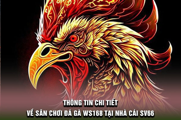 Thông tin chi tiết về sân chơi đá gà WS168 tại nhà cái SV66