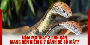 Nằm mơ thấy 2 con rắn mang đến điềm gì? Đánh đề số mấy?